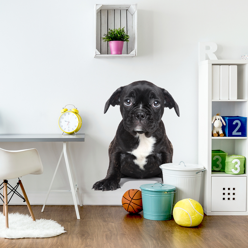 Deko Wandaufkleber eines Welpen