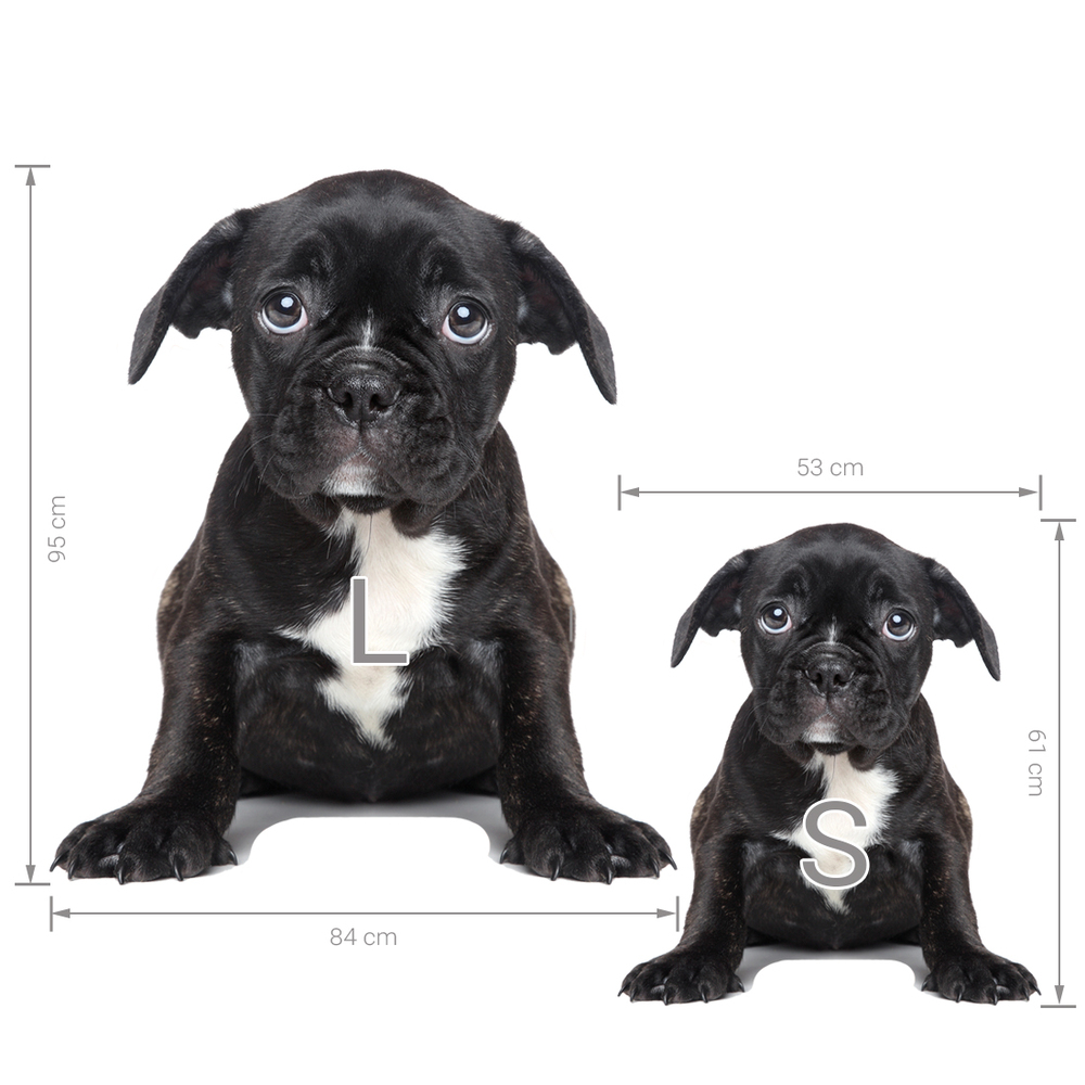 Größenabmessung Welpen Wandtattoos