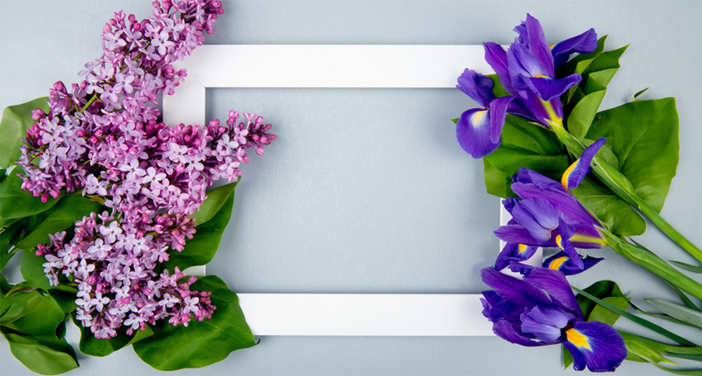 Blumen-Passepartout Passepartout mit Blumen als Dekoration