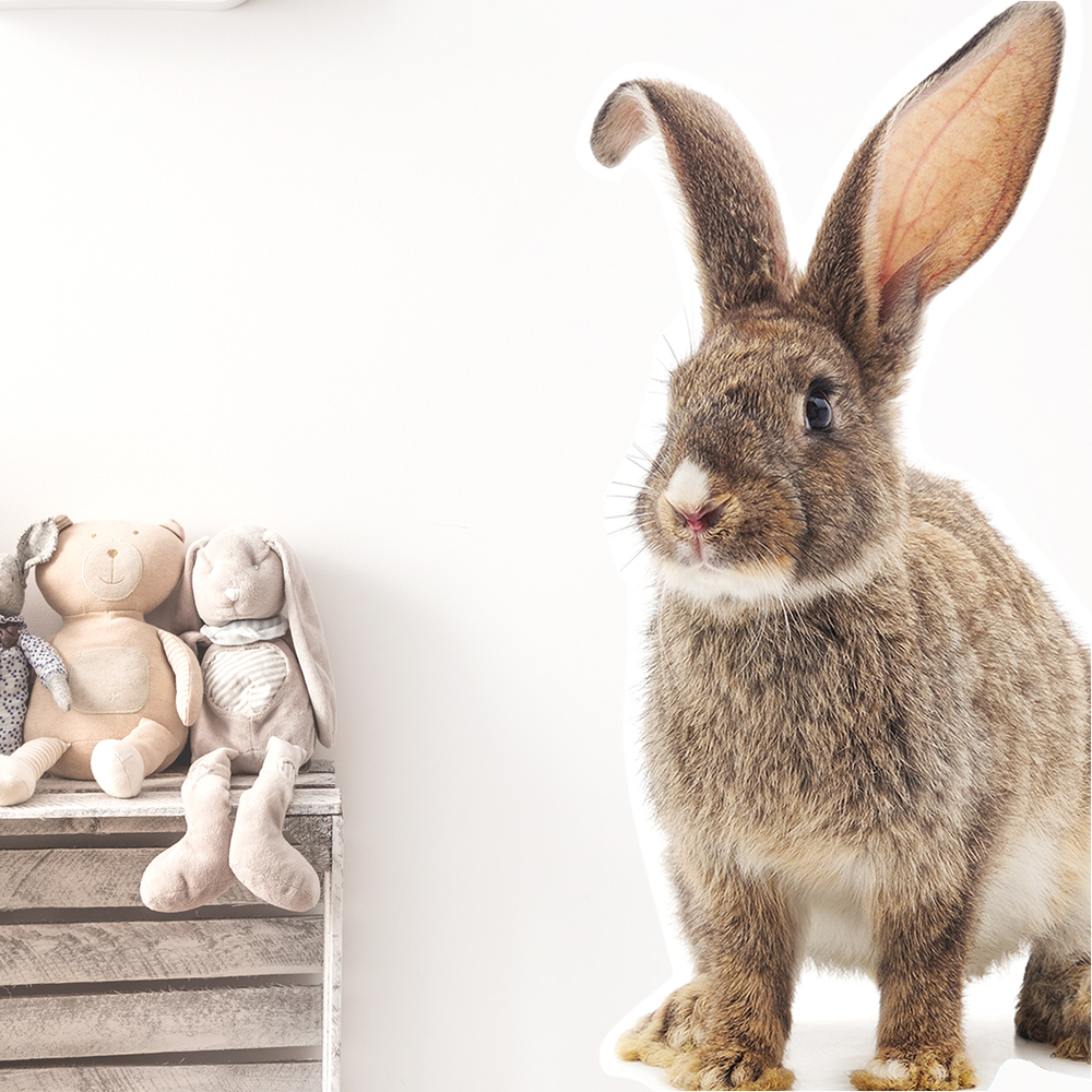 Wandaufkleber Motiv Hase