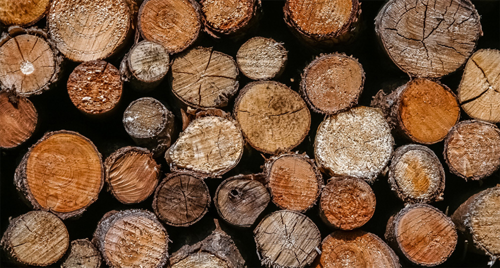 Holz aus der Produktion Qualität vom Holz für die Bilderrahmen