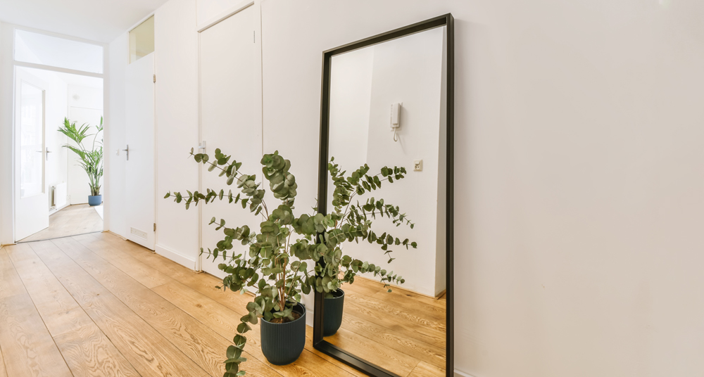 Flurspiegel rechteckig schwarzer Spiegel im Eingangsbereich