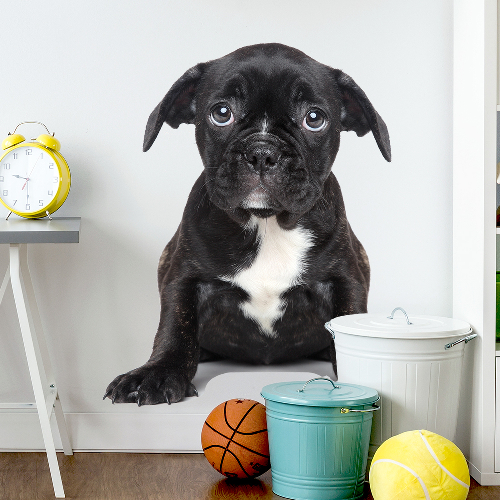 Wandaufkleber Motiv Welpe
