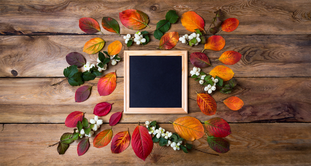 Bilderrahmen mit Herbstblättern Quadratischer Bilderrahmen mit Herbstblättern