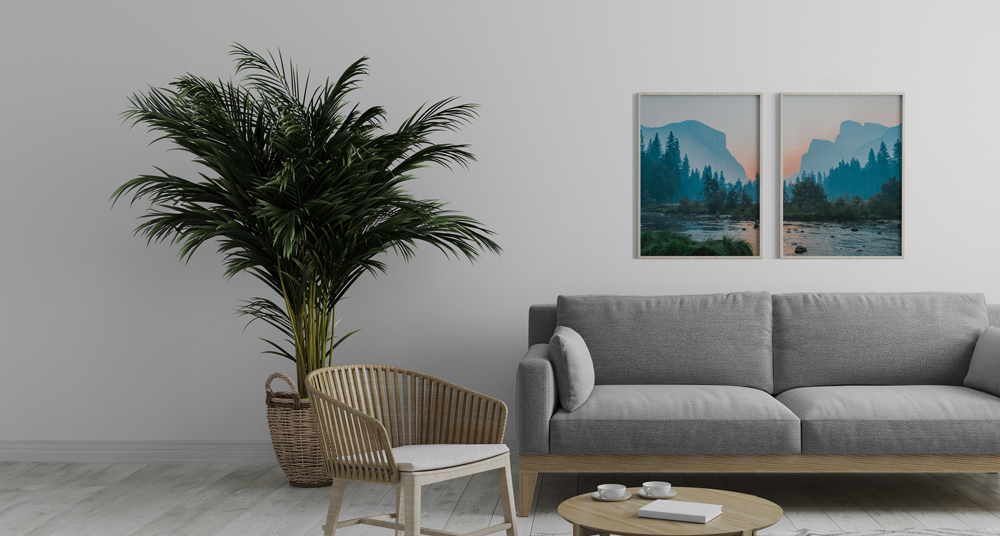 Minimalistisches Wohnzimmer Kleines Wohnzimmer mit einer großen Palme