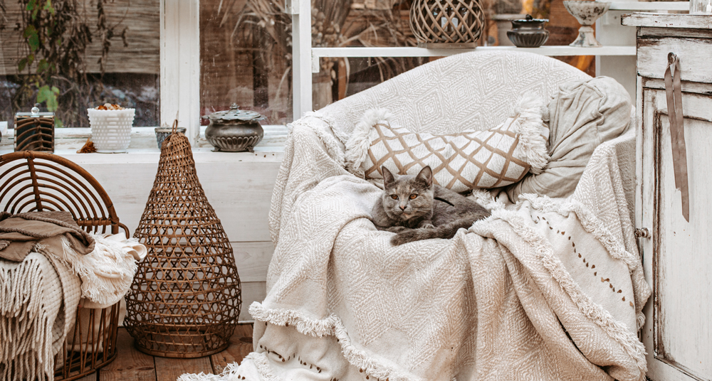 Einrichtung in Shabby-Chic Wohnzimmer mit Shabby-Chic Deko und Möbeln