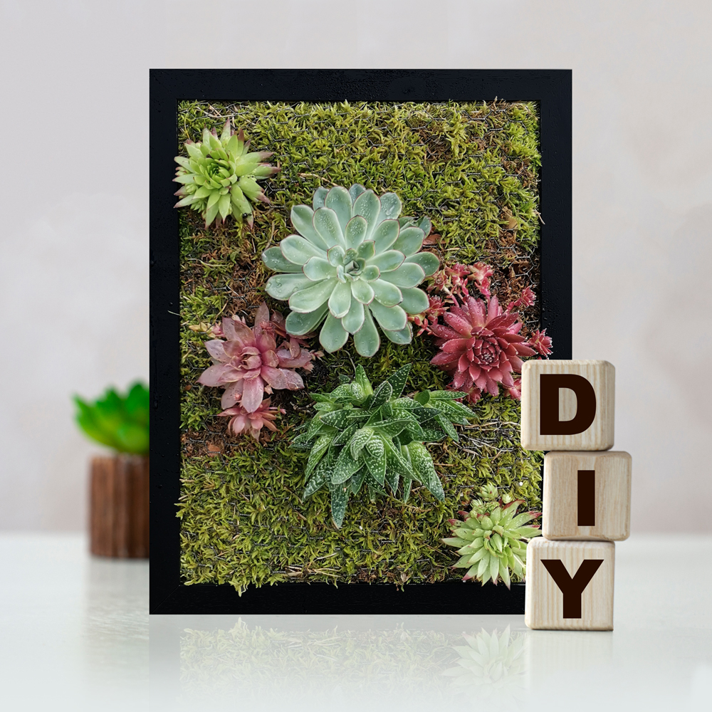 DIY – Bepflanzter Bilderrahmen DIY bepflanze einen Bilderrahmen