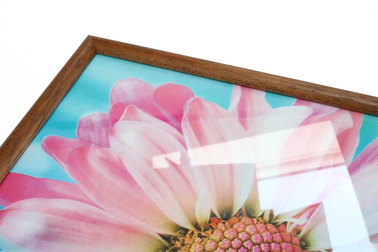 Bild einer Blume eingerahmt in Holzrahmen mit Kunstglas