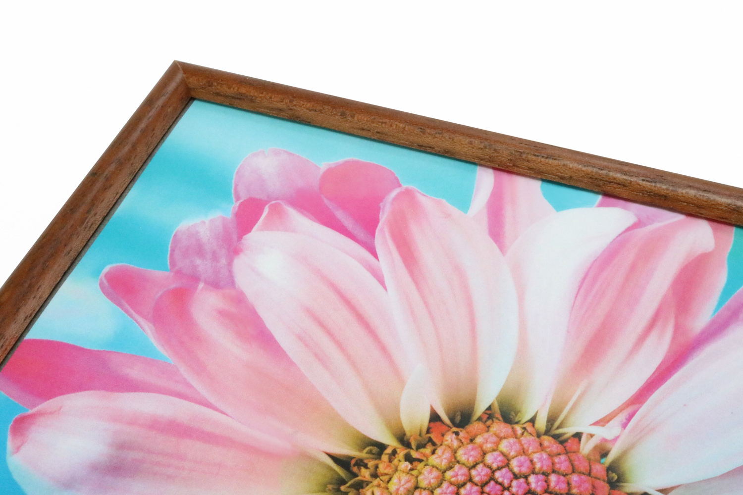 Bild einer Blume eingerahmt in Holzrahmen mit Museumsglas