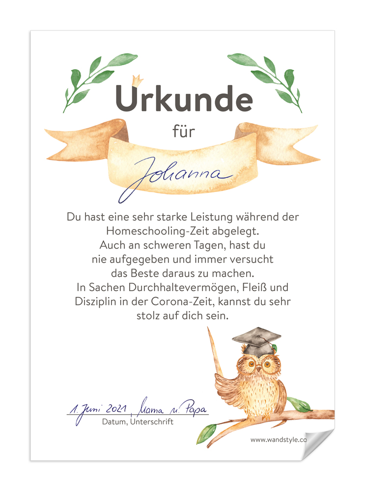 ausgefüllte Vorlage für Homeschooling-Urkunde ausgefüllte Urkunde für Kinder während der Corona-Schulzeit