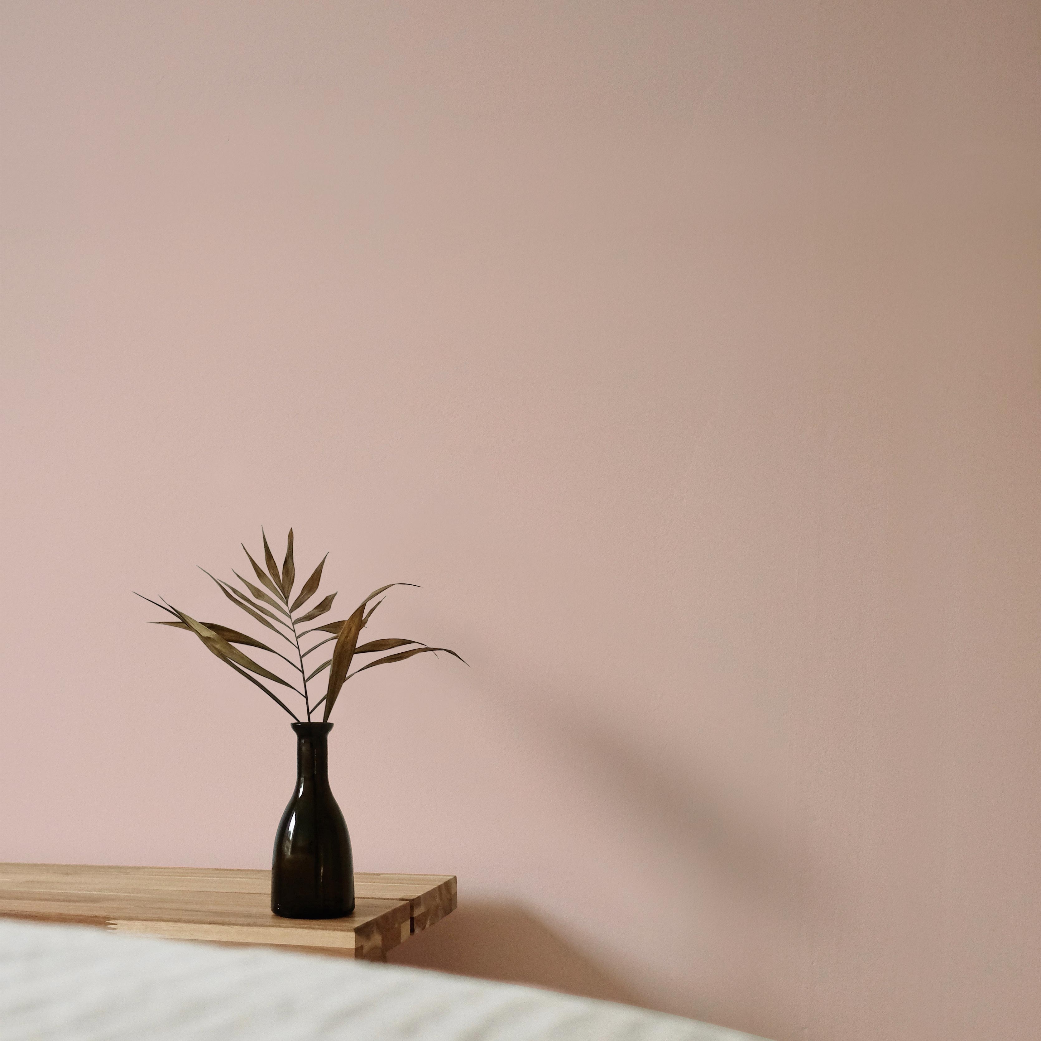 Interior Beispiel - Wandfarbe Dont Send Nudes Wohneinrichtung mit Wand in der Farbe Dont Send Nudes