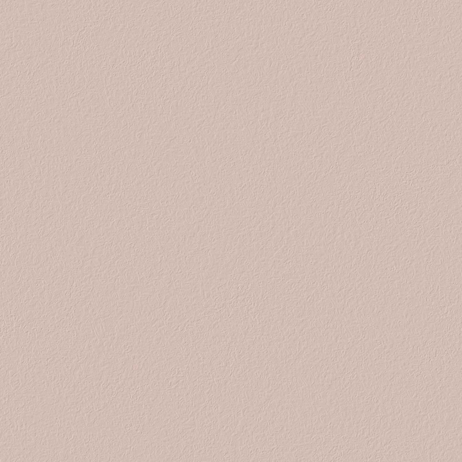 Wand gefärbt in Dont Send Nudes gestrichene Wand in der Farbe Dont Send Nudes