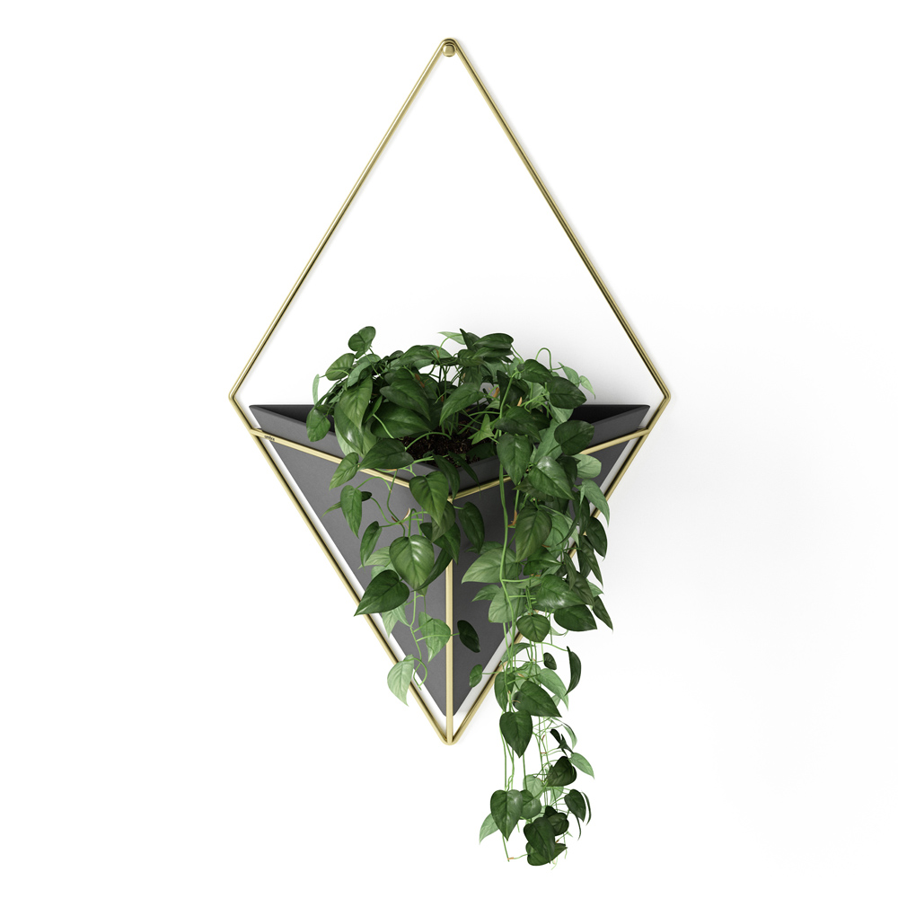 schwarz-goldene Wandvase "Trigg" Wandvase "Trigg" mit schwarzem Gefäß und goldenem Rahmen