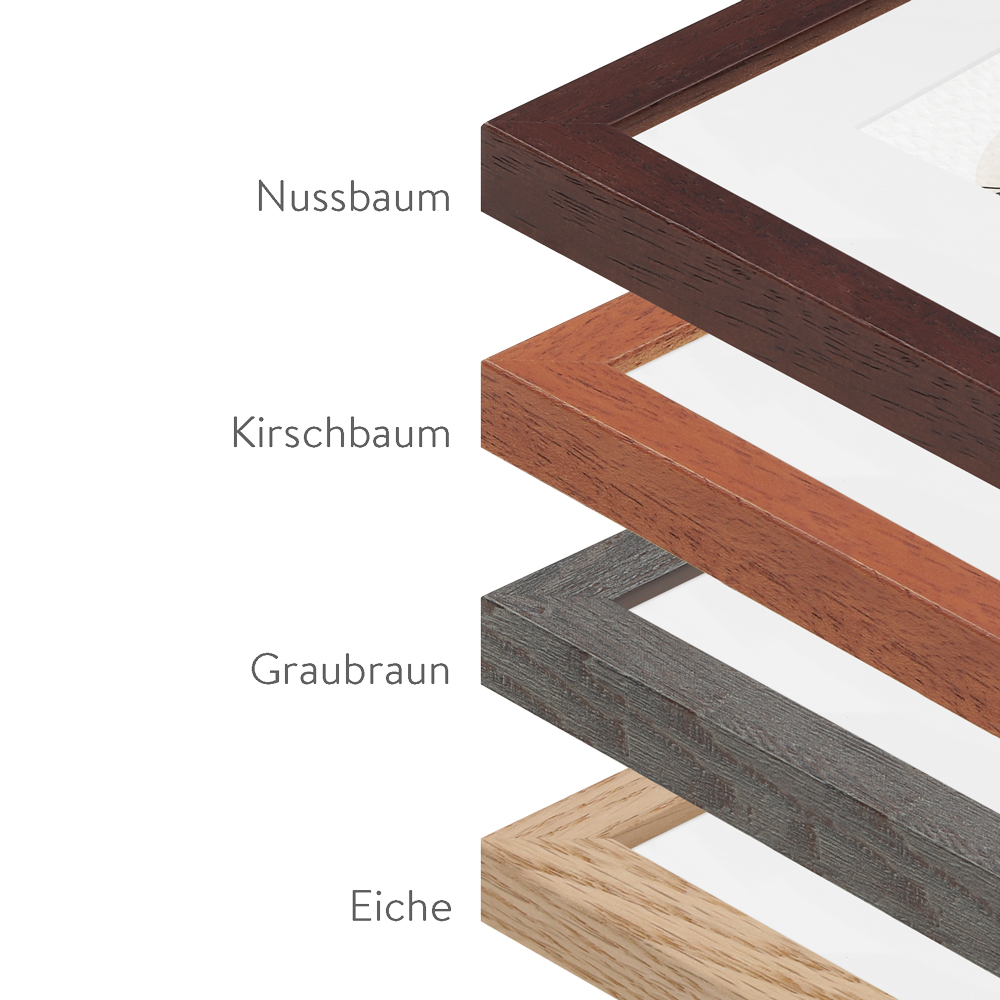 Detailbild 2 Galeriebilderrahmen - G950 Detail Bilderrahmen von dunklen Farben der Serie G950 mit Passepartout