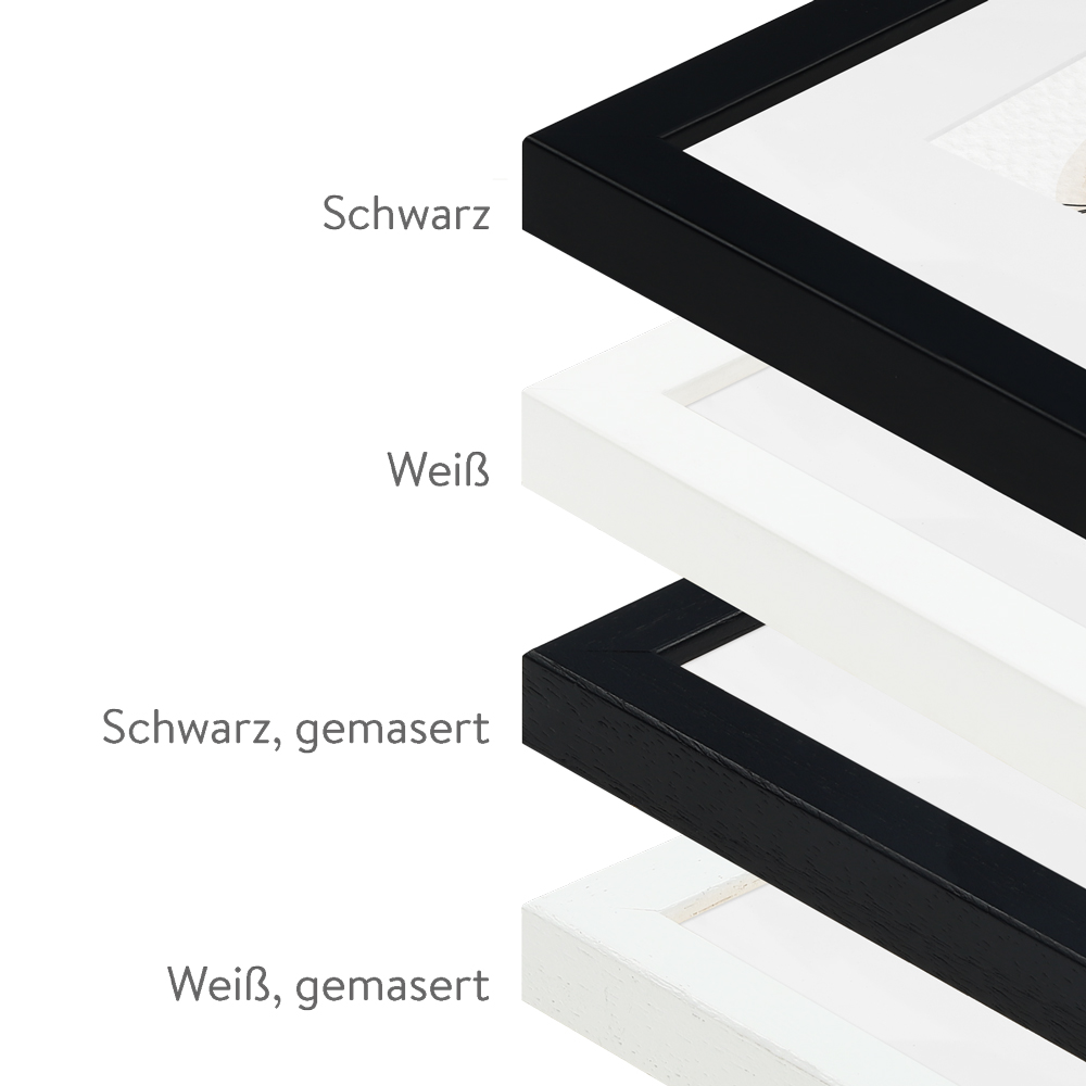 Detailbild 1 Galeriebilderrahmen - G950 Detailbild Galerierahmen von schwarz und weißen Leisten mit Passepartout