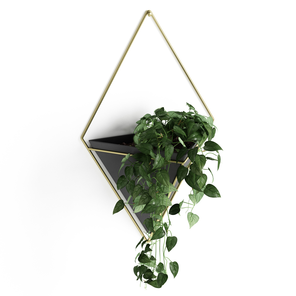 Wohnaccessoire - schwarze Wandvase für Pflanzen und Gegenstände schwarz-goldene Wandvase mit Pflanze