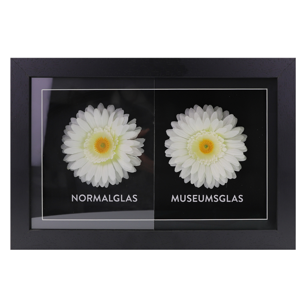 Glasvergleich Normalglas und Museumsglas in einem Rahmen, Objektrahmen Blume