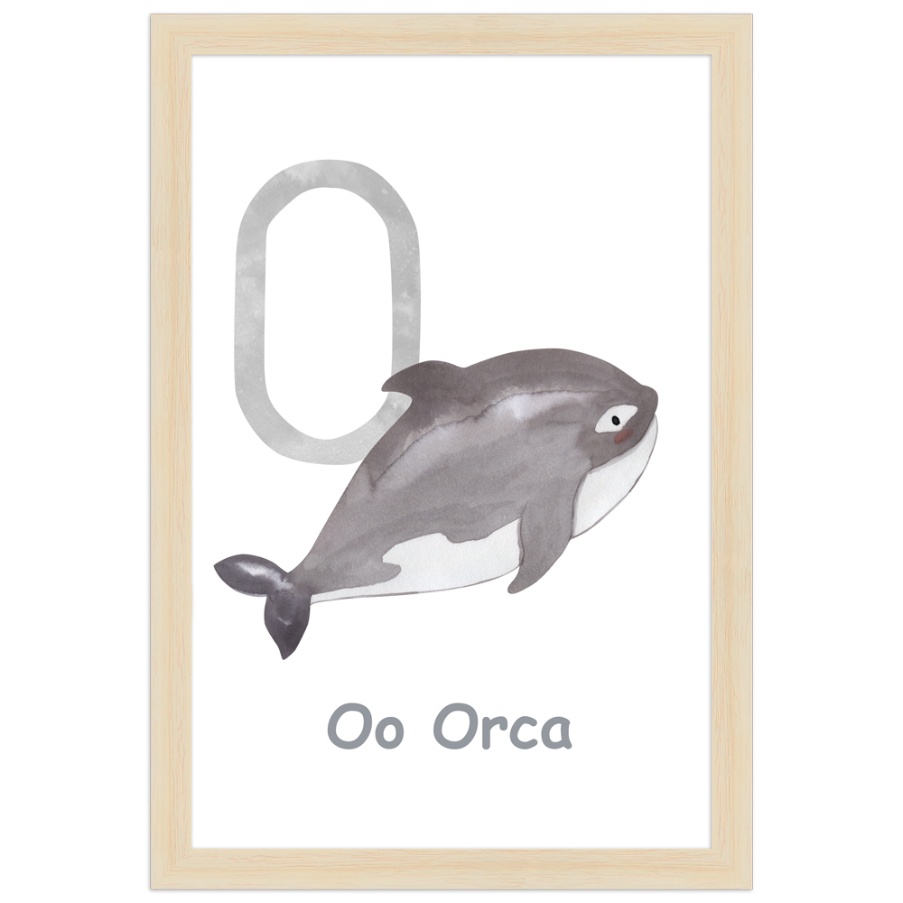 gerahmtes Poster | O - Orca