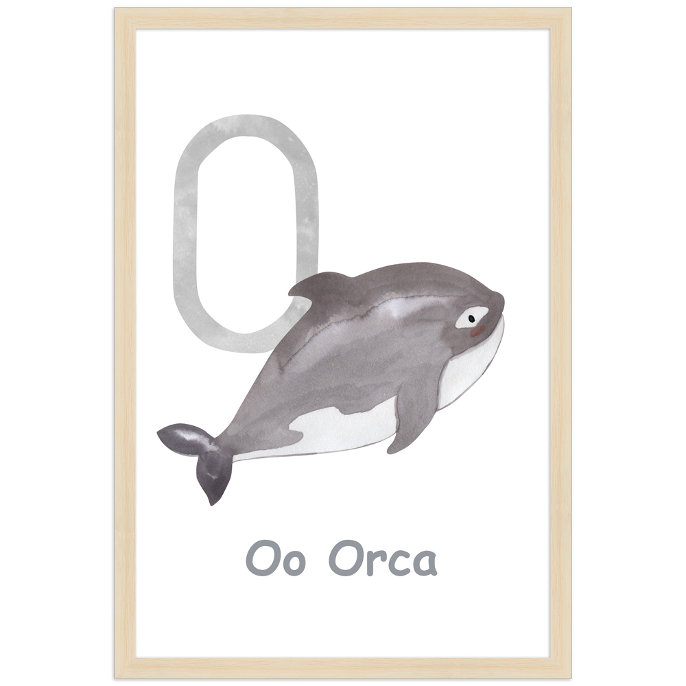 30x45 Poster des Buchstaben O mit Illustration eines Orcas