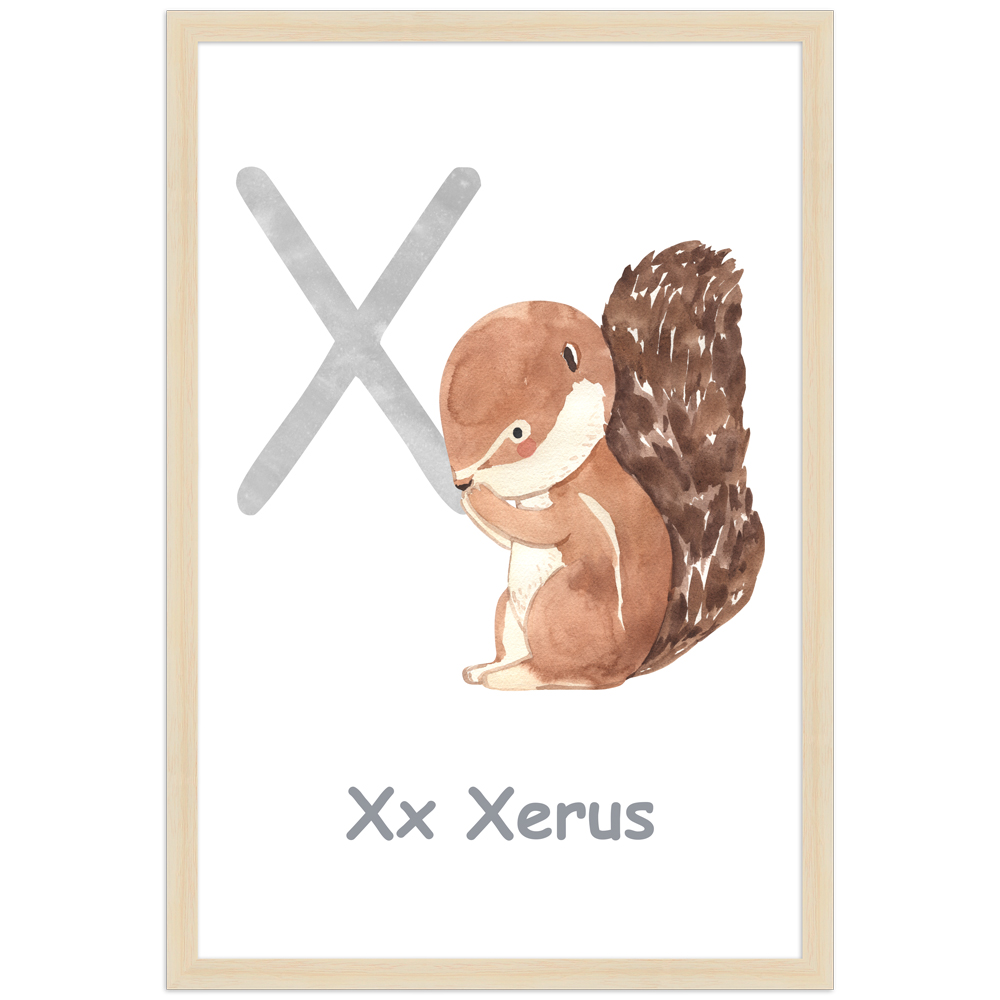 30x45 Poster des Buchstaben X mit Illustration eines Xerus