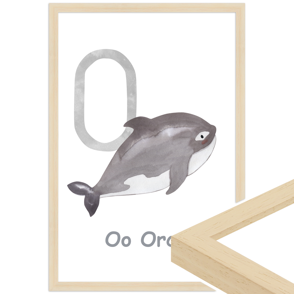 gerahmtes Poster | O - Orca