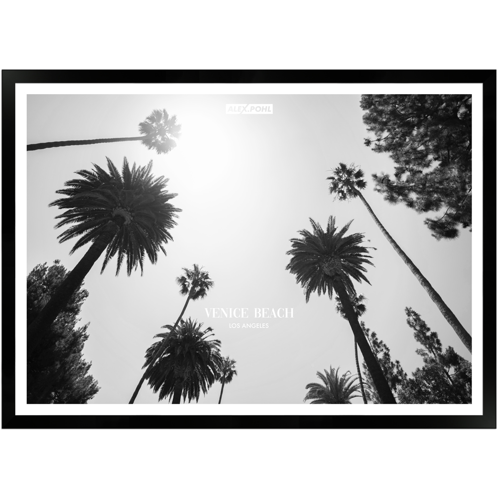 Venice Beach Palmtrees by Alex Pohl | Poster mit Holzrahmen 50x70 cm