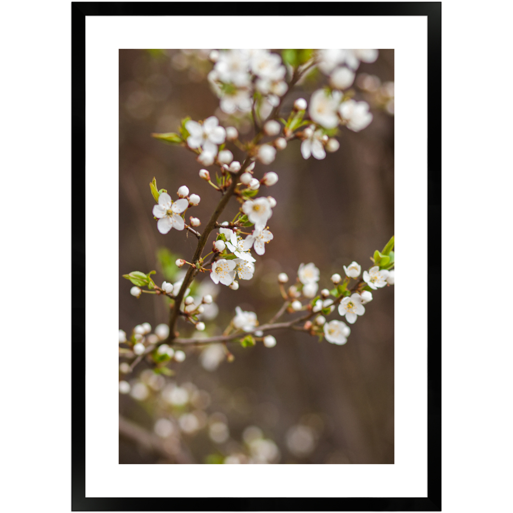 Naturdetailaufnahme Blüte 1 by Dima Bychick | Poster mit Holzrahmen 50x70 cm