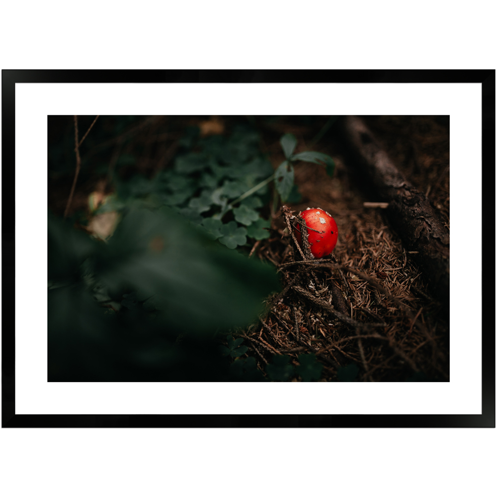 Naturdetailaufnahme Pilz by Dima Bychick | Poster mit Holzrahmen 50x70 cm