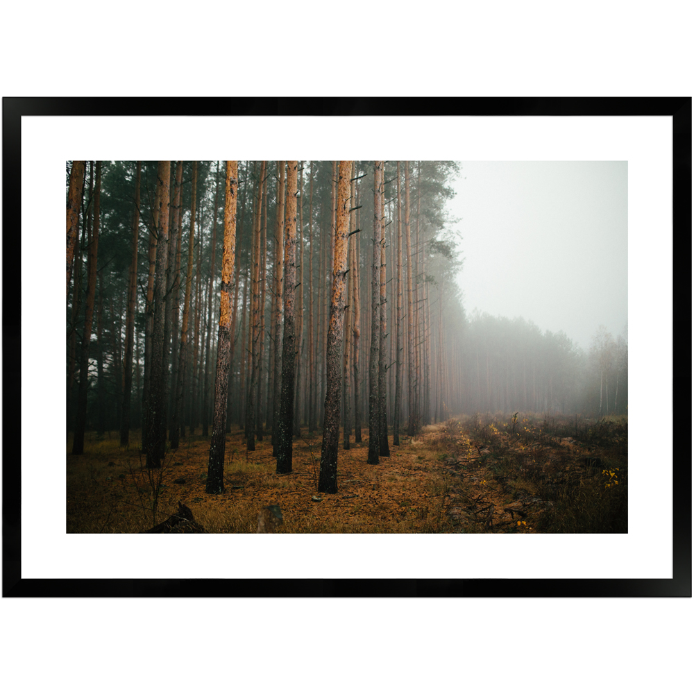 Naturaufnahme Birkenwald 2 by Dima Bychick | Poster mit Holzrahmen 50x70 cm