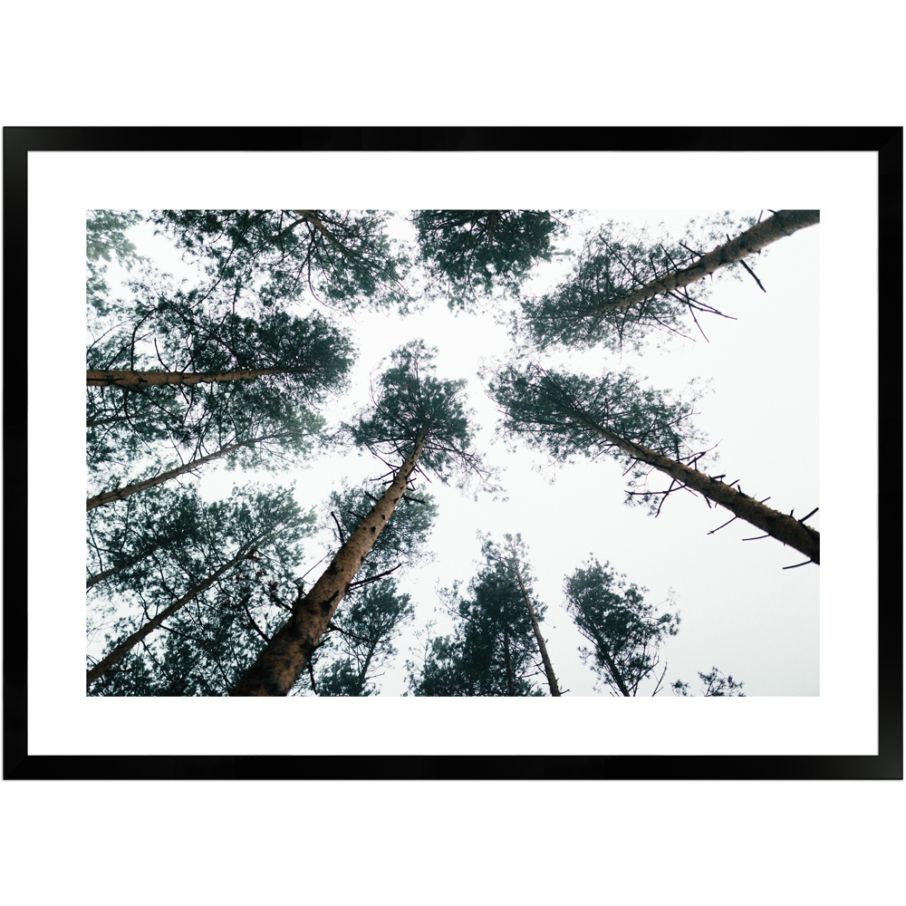Naturaufnahme Baumkronen by Dima Bychick | Poster mit Holzrahmen 50x70 cm