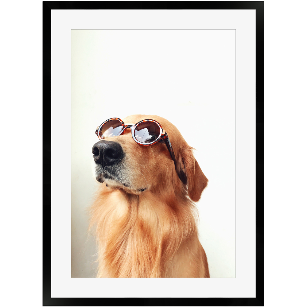 Poster eines Hundes mit Sonnenbrille