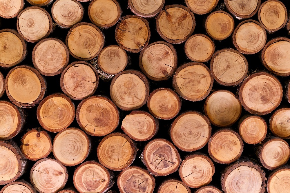 Baumstämme für Holzrahmen Gestapelte Baumstämme für hochwertige Bilderrahmen aus Holz