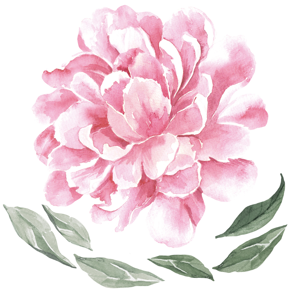 Wandtattoo | pinke Pfingstrose